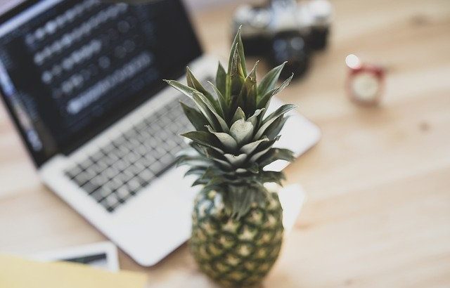 Pineapple Fruit Food Laptop Table  - Engin_Akyurt / Pixabay